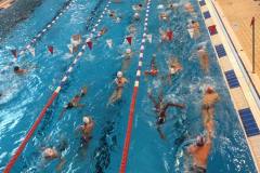 natation-43