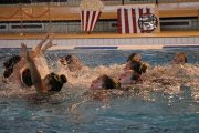gala-2019
