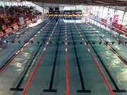 Piscine-de-Sartrouville-Championnats-de-France-2019_2
