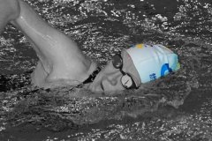 dsc0950432_45156625121_o