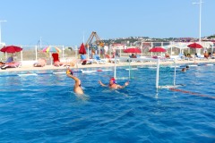IMG_3186