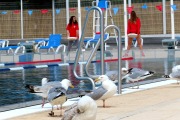 IMG_5923