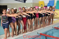 crevette_2