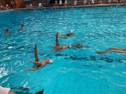 IMG-20221112-WA0009