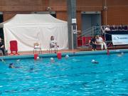 IMG-20221112-WA0010
