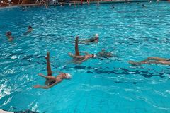 IMG-20221112-WA0009