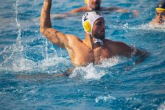 Tourcoing_Choisy00005