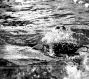 trophee-des-maitres-lh